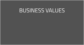 BUSINESS VALUES